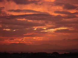 DSC01031.JPG